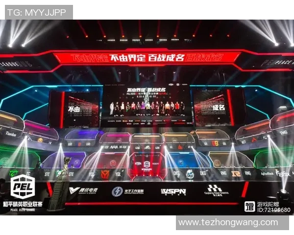 RNG在和平精英赛场的蜕变之旅与电竞总决赛的精彩瞬间