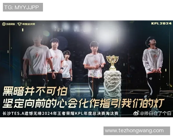 TES战队成长之路王者荣耀总决赛的辉煌历程与背后故事 TES战队成长之路王者荣耀总决赛的辉煌历程与背后故事